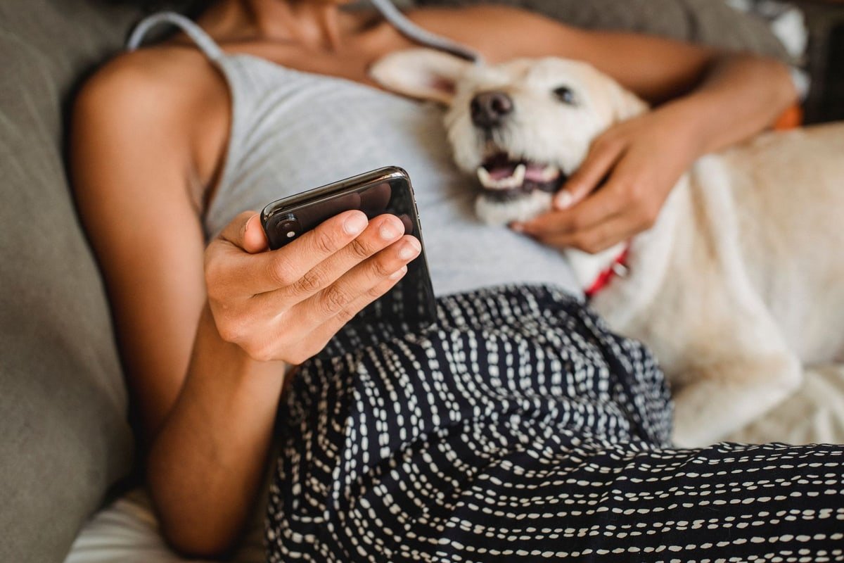 Dog relaxing with its owner while the owner uses a smartphone