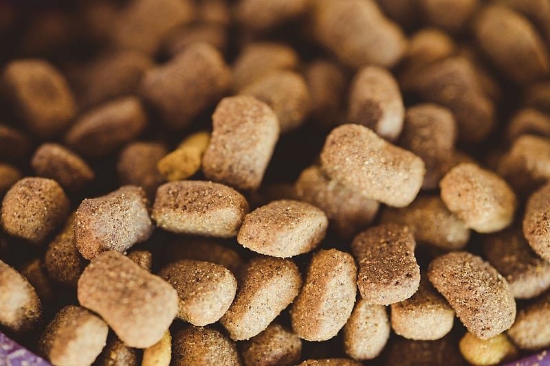 Close-up photograph of varied dry dog-food kibble